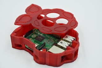 framboise forme raspberry pi cas pinshape logement 3d print model - Mito3D