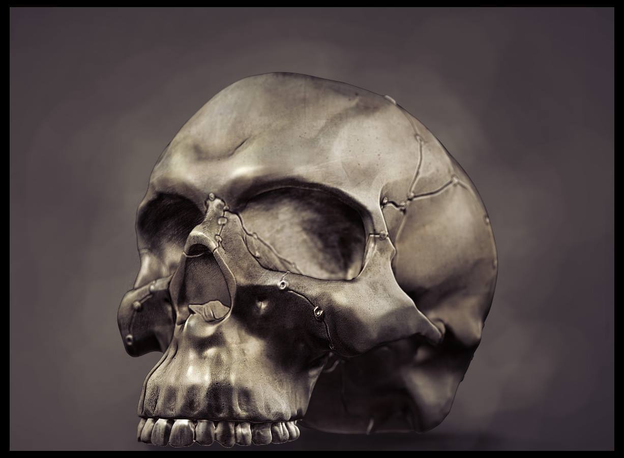 realista anatómica arte cráneo 3d imprimibles detalles alta calidad pinshape escultura art cuero cabelludo solideo anatomía dientes huesos cráneos esqueleto cabeza 3D print model - Mito3D