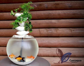 cascaqua cascading aquaponics pinshape 3d-design fishtank product sustainable 3d print model - Mito3D