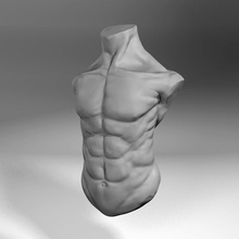 busto maschile pinshape disegno 3d 3d print model - Mito3D