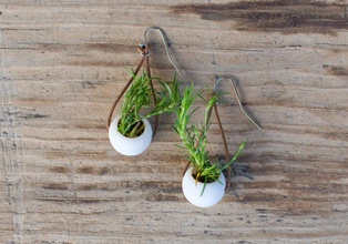 wearable planter Perlen pinshape 3d design 3d print model - Mito3D