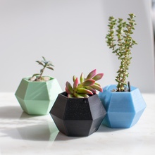 hexagon planter pinshape geometric planters 3d print model - Mito3D