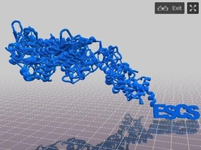 myosin miosina estrutura 3d pinshape design 3d print model - Mito3D