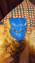dog cat predator mask pinshape 3d-design 3d print model - Mito3D