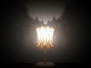 scherks lamp pinshape mathematical protonik light lighting lampshade 3d print model - Mito3D