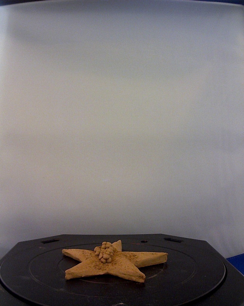 seastar pinshape 3d design 3D print model - Mito3D