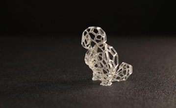 voronoi squirtle pinshape Conception 3d 3d print model - Mito3D