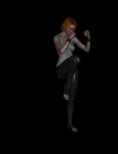 sam -- fighting poses pinshape female 3d print model - Mito3D
