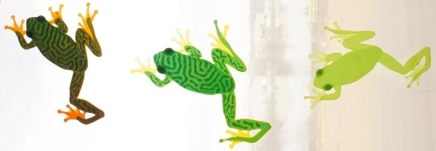 treefrog window climber pinshape 3d-design 3d print model - Mito3D