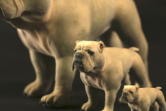 bulldog pinshape animal perro juguetes 3d print model - Mito3D