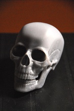 crânio humano pinshape crânios 3d print model - Mito3D