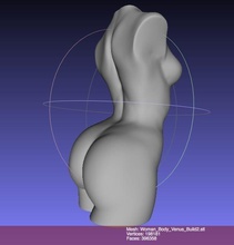 donna torso scolpire decimato pinshape disegno 3d 3d print model - Mito3D