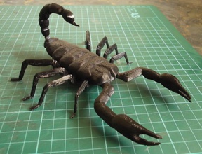 scorpion pinshape 3d print model - Mito3D