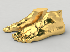 taranan ayak pinshape formlabs gergedan anatomi 3d print model - Mito3D