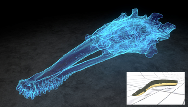 skull european eel anguilla pinshape animals biology skeleton anatomy stl ct 3d print model - Mito3D