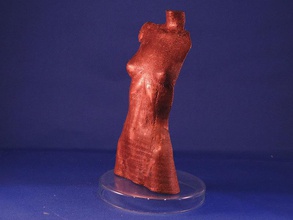 Haut pinshape surreal Körper Mädchen nude female nackt meshmixer poser 3d print model - Mito3D