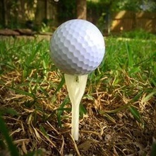 tee golfe torção pinshape esportes 3d print model - Mito3D