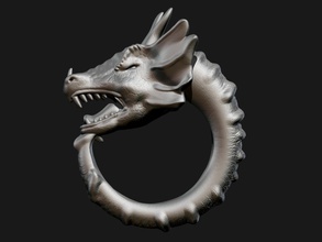 dragon ring pinshape jewelery jewel 3d print model - Mito3D