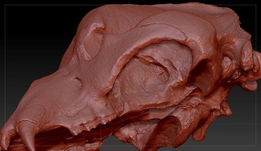crânio caverna urso pinshape 3d design 3d print model - Mito3D