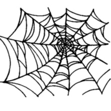 spider webs pinshape 3d-design 3d print model - Mito3D