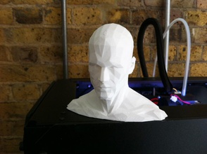 poly head - remix pinshape 3d-design 3d print model - Mito3D