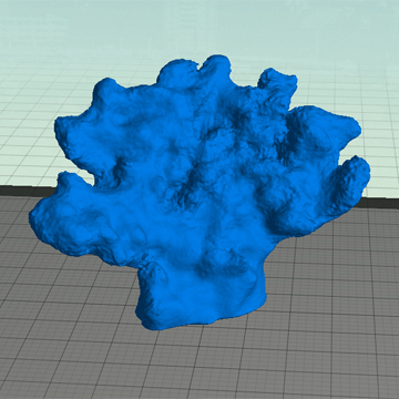 coral pinshape 3d design 3D print model - Mito3D