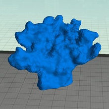 coral pinshape 3d design 3d print model - Mito3D