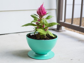 ikea lamp - flower pot conversion pinshape 3d-design 3d print model - Mito3D