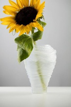 viento esculpido jarrones pinshape claro funcional floreros 3d print model - Mito3D