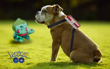 pokemon doggysitter pinshape galaxy Hinweis Handy cover Halter strap keeper Gurt Leine Hunde doggy go 3d print model - Mito3D