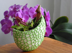 2 organik saksı voronoi vazo renk pinshape malzeme çift dualmount dualprinting alanında renkler çiçek çiçekler pot hediye dekorasyon dekor deco sanat 3d print model - Mito3D