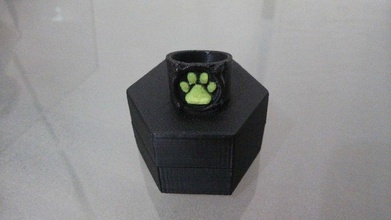 chat noir anillo pinshape Diseño 3d 3d print model - Mito3D