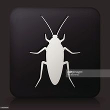 3d print cockroach pinshape 3d-design