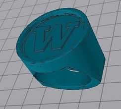 ring pinshape 3d-design 3d print model - Mito3D