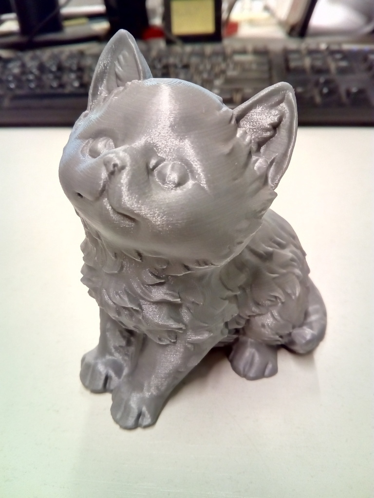 kedi pinshape 3d tasarım 3D print model - Mito3D