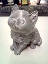 kitten pinshape 3d-design 3d print model - Mito3D