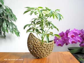 2 filizlenen kapsül ekici renk versiyonu pinshape voronoi bitkiler bitki pflanzentopf pflanzen hediye geschenkidee çiçekler çiçek dekorasyon dekor blumen sanat 3d vazo saksı tasarım 3d print model - Mito3D
