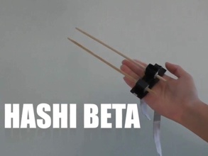 hashi beta pinshape all'interno reach 3d design sfida in 18 3d print model - Mito3D