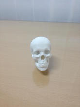gear lever skull pinshape skull gear-lever 3d print model - Mito3D