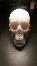 makerbot human skull pinshape jaw bones 3d print model - Mito3D