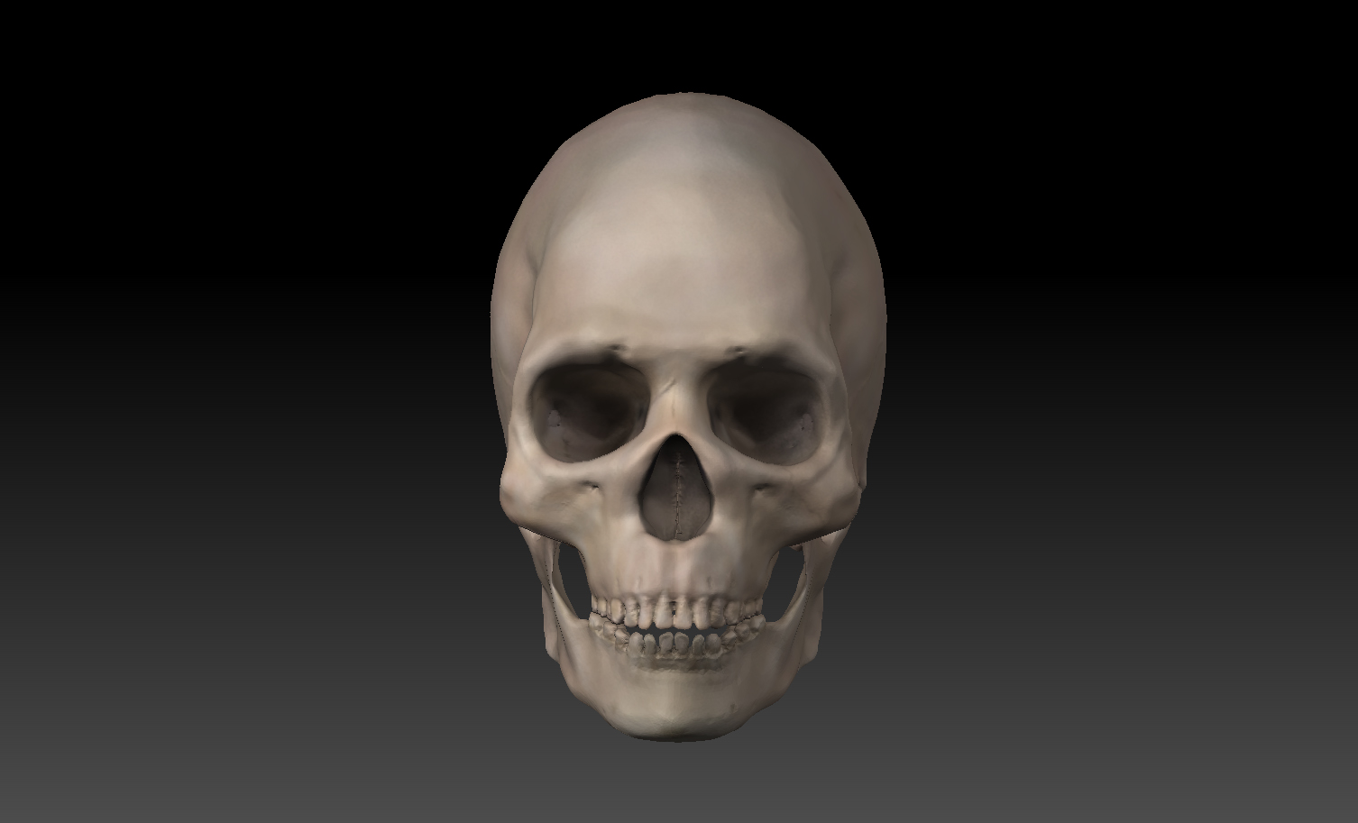 skull pinshape human-skull human 3D print model - Mito3D