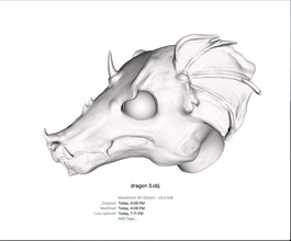 dragon head pinshape 3d-design 3d print model - Mito3D