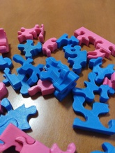sara puzzle pinshape Conception 3d 3d print model - Mito3D