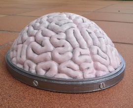 brain hat pinshape helmet brain cosplay-design-contest 3d-design