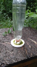 pozo agua abeja pinshape apicultura 3d print model - Mito3D