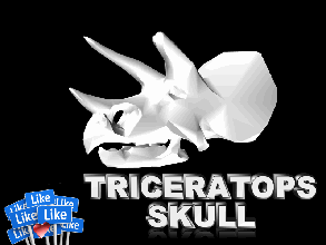 triceratops cranio pinshape cosplay progettazione concorso 3d print model - Mito3D