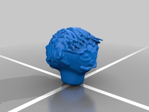 harry potter testa pinshape procedura guidata modelli modello ragazzo umana 3d print model - Mito3D