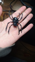 skulltula pinshape avatar design Wettbewerb Schädel spider legend of zelda 3d print model - Mito3D