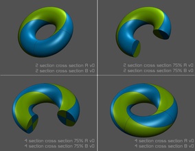 dual material - torus spiraling cross pinshape 3d-design 3d print model - Mito3D