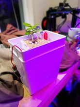 tabletop hydroponics fittings pinshape herbs decoration gardening planter 3d print model - Mito3D